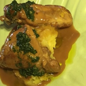 Pollo
