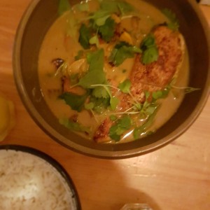 pollo