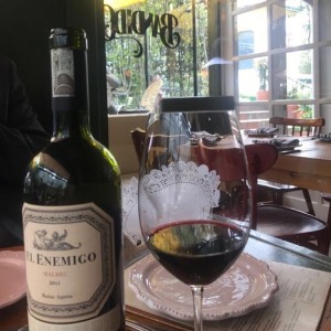 VT El Enemigo Malbec 2011