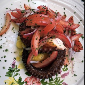 Pulpo