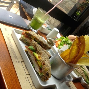 Sandwich de Pavo