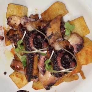 Pulpo