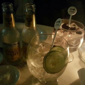 Gin & Tonic