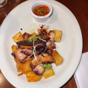 pulpo casa