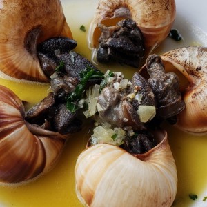 escargots 