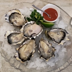 Pacific Oyster 