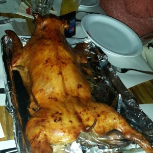 Cochinillo