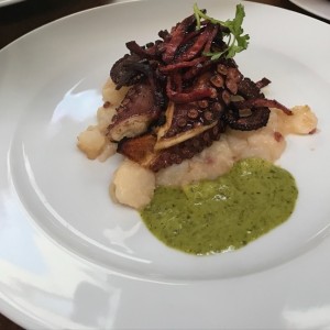 Pulpo