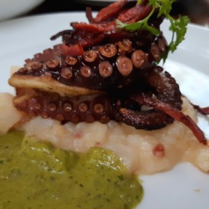 Pulpo
