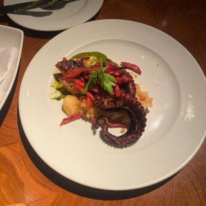 Pulpo