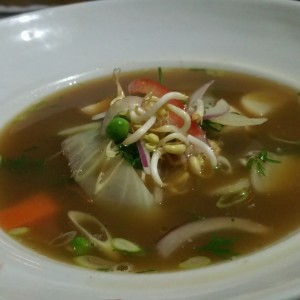 sopa de verduras 