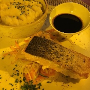 Salmon