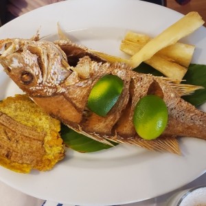 Pargo Rojo