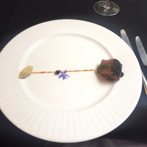 Atun con hormigas culonas 
