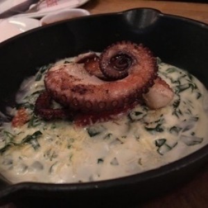 Pulpo