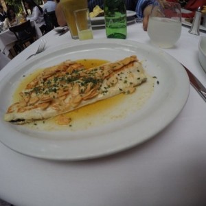 Filete de trucha