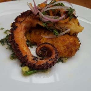 pulpo al salten