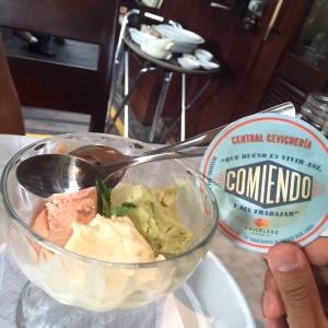 Helado de Aguacate, Cerveza y Guayaba ????