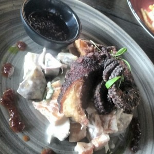 pulpo