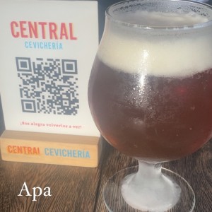 apa