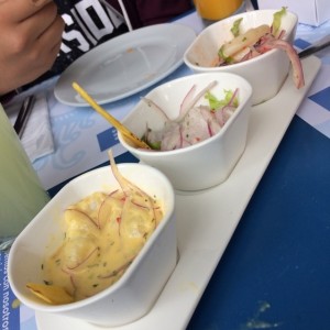 degustasion de cebiches