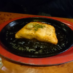 salmon 
