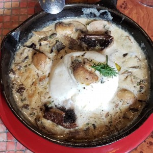Burrata Funghi