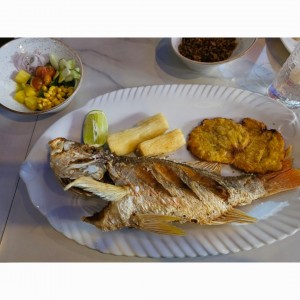 pargo