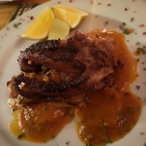 Pulpo
