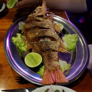 Pargo