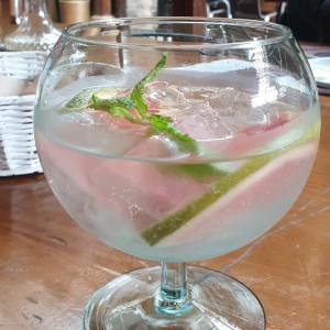 Gin & Tonic
