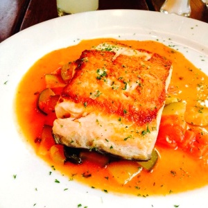 Salmon