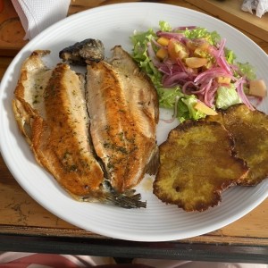 Trucha al ajillo