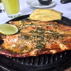 Truca Ahumada 