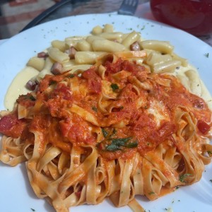 Dos pastas 