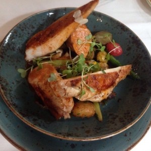 pollo