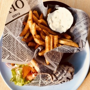 Gyro Mixto