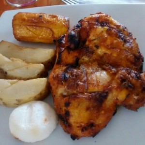 Pollo