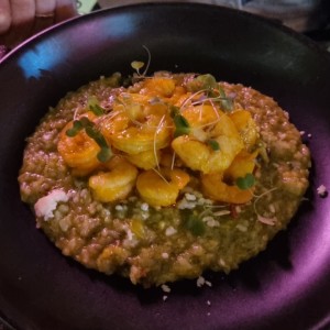 risotto pacifico
