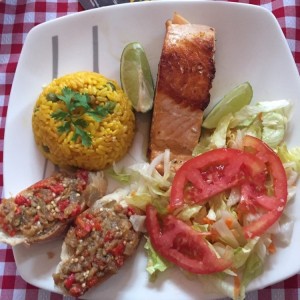 salmon