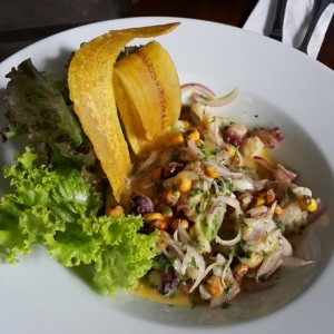 Ceviche mixto