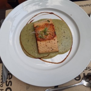 salmon