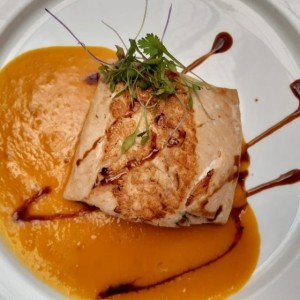 salmon 