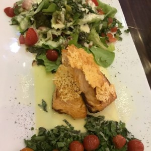 salmon 