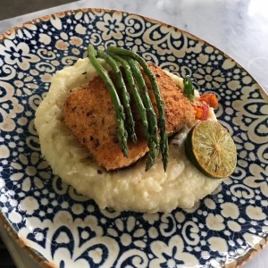 salmon