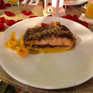 salmon