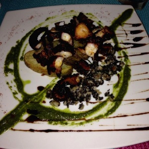 Pulpo