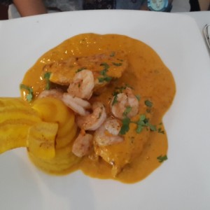pollo pacifico