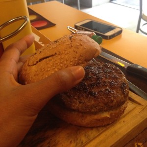 hoy cheddar