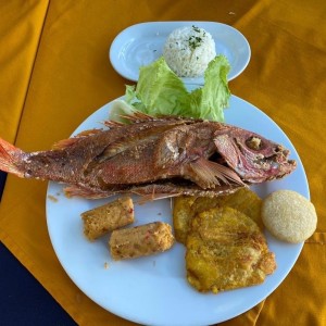 Parguito Frito con Tostones con Arroz